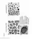 Fig. 24 - METHODS AND ARTICLES FOR LIQUID-IMPREGNATED SURFACES WITH ENHANCED DURABILITY