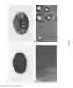 Fig. 09 - GRAFTED POLYMER SURFACES FOR DROPWISE CONDENSATION, AND ASSOCIATED METHODS OF USE AND MANUFACTURE