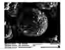 Fig. 01 - POSITIVE ACTIVE MATERIAL, METHOD OF PREPARING THE SAME, AND RECHARGEABLE LITHIUM BATTERY INCLUDING THE SAME