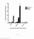 Fig. 04 - METHODS RELATING TO IDIOPATHIC PULMONARY FIBROSIS (IPF)