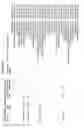 Fig. 33 - ALPHA TOXIN DETECTION OF GPI ANCHORED PROTEINS