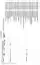Fig. 47 - ALPHA TOXIN DETECTION OF GPI ANCHORED PROTEINS