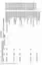 Fig. 57 - ALPHA TOXIN DETECTION OF GPI ANCHORED PROTEINS