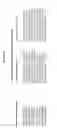 Fig. 83 - ALPHA TOXIN DETECTION OF GPI ANCHORED PROTEINS