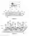 Fig. 02 - System for detecting rare cells