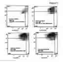 Fig. 07 - CD40L EXPRESSING MAMMALIAN CELLS AND THEIR USE