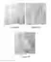 Fig. 08 - Methods for improving the bioactivity characteristics of a surface and objects with surfaces improved thereby