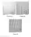 Fig. 09 - Methods for improving the bioactivity characteristics of a surface and objects with surfaces improved thereby