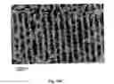 Fig. 20 - MAGNETIC PATTERNING METHOD AND SYSTEM