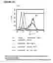 Fig. 167 - Microcarriers for stem cell culture