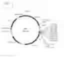 Fig. 02 - Engineered and methods of use thereof