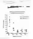 Fig. 33 - Engineered and methods of use thereof
