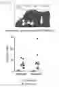 Fig. 35 - Engineered and methods of use thereof