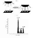 Fig. 06 - Biomolecule interaction using atomic force microscope