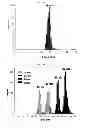 Fig. 09 - Biomolecule interaction using atomic force microscope