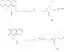 Fig. 48 - Biomolecule interaction using atomic force microscope