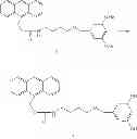 Fig. 58 - Biomolecule interaction using atomic force microscope