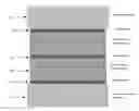 Fig. 01 - Methods for thick films thermoelectric device fabrication