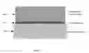 Fig. 04 - Methods for thick films thermoelectric device fabrication
