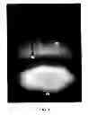 Fig. 02 - Scalable multi-role surface-wave plasma generator