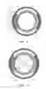 Fig. 08 - Substrate processing apparatus including exhaust ports and substrate processing method