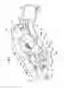 Fig. 09 - Electrical connector
