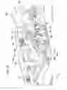 Fig. 20 - Electrical connector
