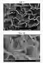 Fig. 07 - Carbon fiber and method for producing same