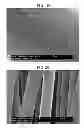 Fig. 11 - Carbon fiber and method for producing same