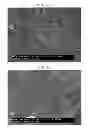 Fig. 13 - Carbon fiber and method for producing same