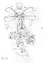 Fig. 03 - Mobile kit that revolves from a ceiling fan