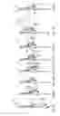 Fig. 13 - Method and installation for handling poultry