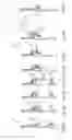 Fig. 14 - Method and installation for handling poultry