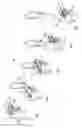 Fig. 17 - Method and installation for handling poultry