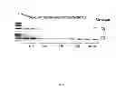 Fig. 07 - Methods of determining the presence or absence of a plurality of target polynucleotides in a sample