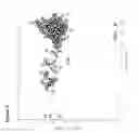 Fig. 06 - GENE EXPRESSION SIGNATURE FOR CLASSIFICATION OF TISSUE OF ORIGIN OF TUMOR SAMPLES