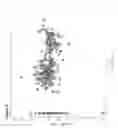 Fig. 09 - GENE EXPRESSION SIGNATURE FOR CLASSIFICATION OF TISSUE OF ORIGIN OF TUMOR SAMPLES