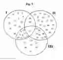 Fig. 04 - ANTIGEN ARRAY AND DIAGNOSTIC USES THEREOF