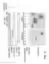 Fig. 05 - METHODS AND MATERIALS FOR MODULATING DEUBIQUITINASES AND UBIQUITINATED POLYPEPTIDES