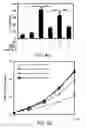Fig. 14 - METHODS AND MATERIALS FOR MODULATING DEUBIQUITINASES AND UBIQUITINATED POLYPEPTIDES