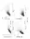Fig. 06 - High throughput selection of specific cell binding and lytic polypeptides