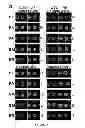 Fig. 08 - High throughput selection of specific cell binding and lytic polypeptides