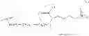 Fig. 49 - Binding Inhibitors of the Beta. Transducin Repeat-Containing Protein