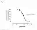 Fig. 07 - Modulators of protease activated receptors