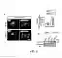 Fig. 07 - Compositions and methods for regulating glucose metabolism