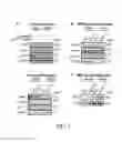 Fig. 08 - Compositions and methods for regulating glucose metabolism