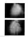 Fig. 40 - Agent for the treatment of alopecia