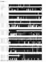 Fig. 02 - ALBUMIN VARIANTS