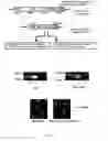 Fig. 05 - High MAST2-affinity polypeptides and uses thereof