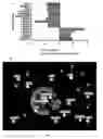 Fig. 07 - High MAST2-affinity polypeptides and uses thereof